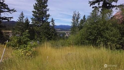 17 XX Twin Lakes Rd Unit  Cle Elum WA 98922