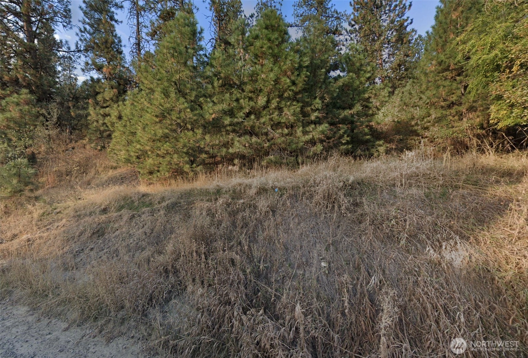 99 N Idaho Rd Liberty Lake WA 99019