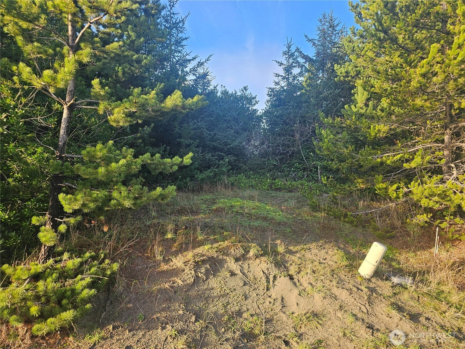 276 S Wynoochee Dr SW Unit  Ocean Shores WA 98569