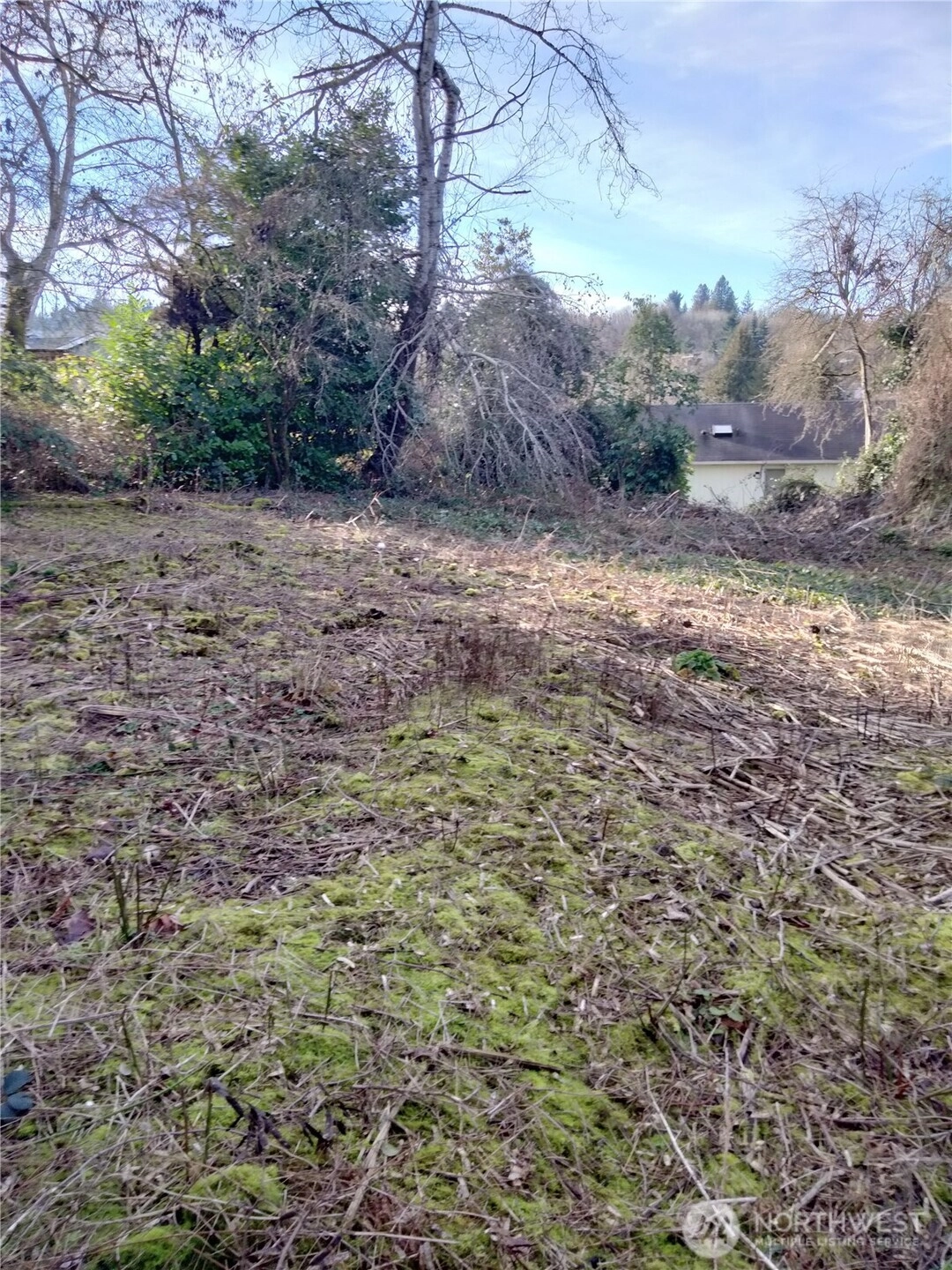 0 TBD S Charlestown St St Seattle WA 98144