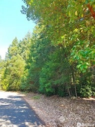 12611 Silver Dr Unit  Anderson Island WA 98303