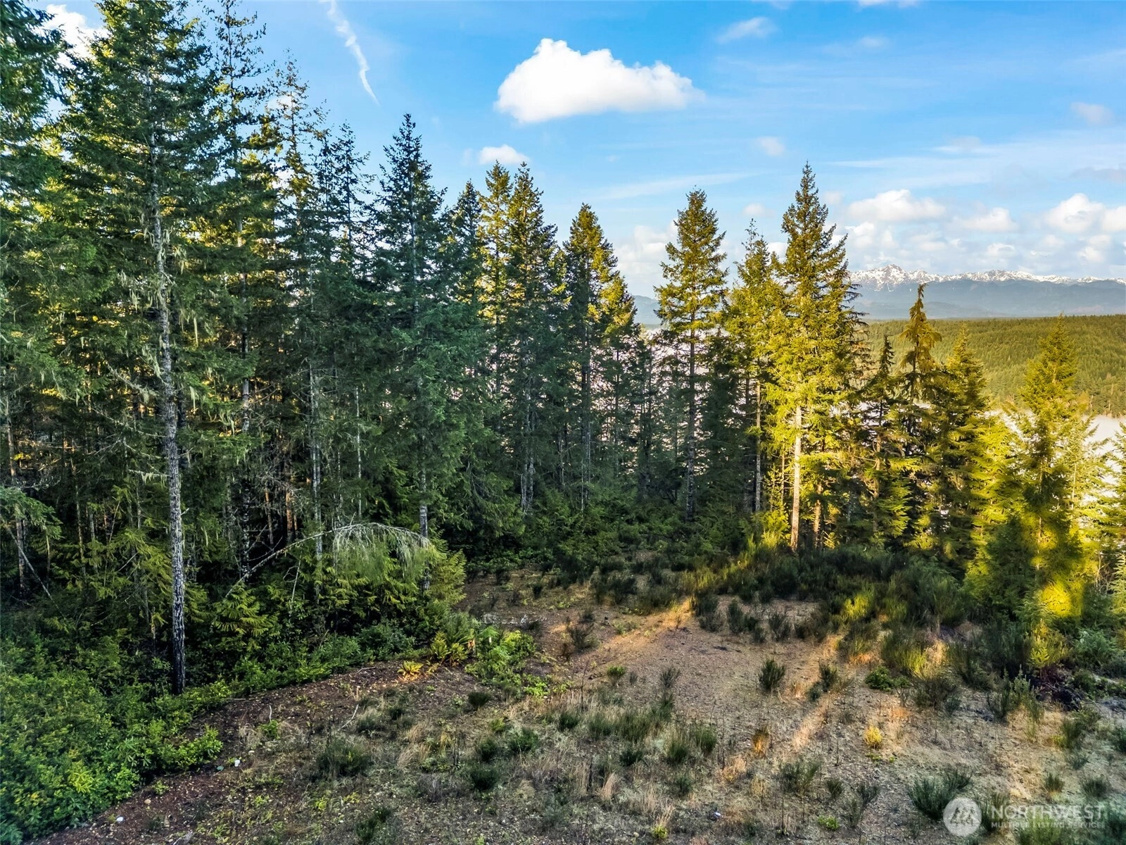1123 E Timber Tides Dr Union WA 98592