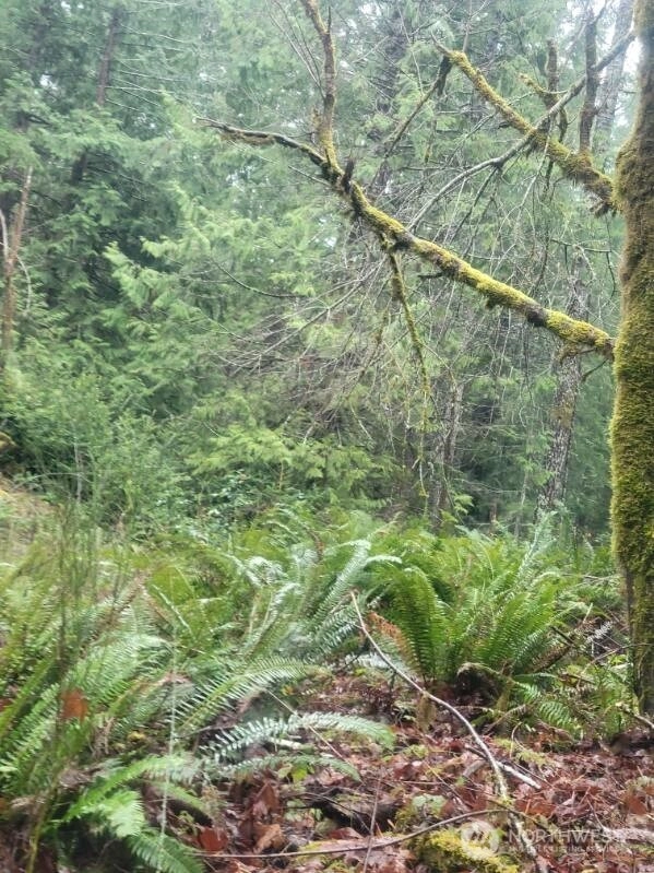 1 Gd 2048 Rd Unit  Union WA 98592