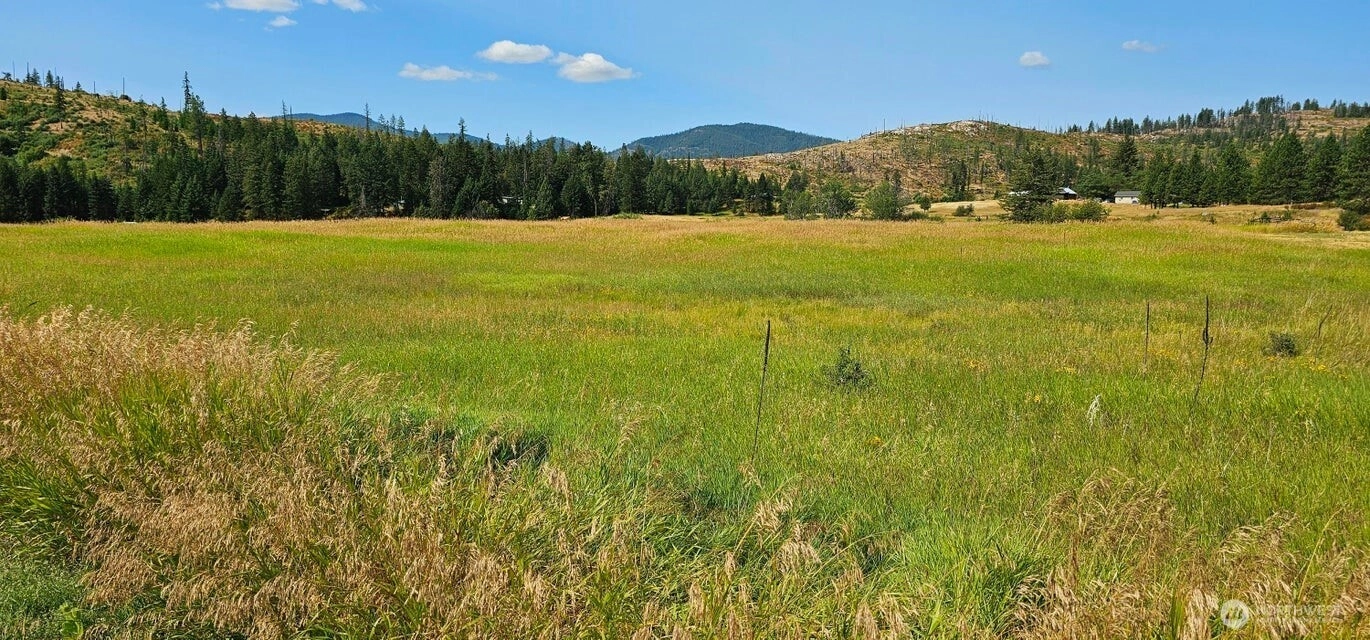 1041 Ward Way Colville WA 99114