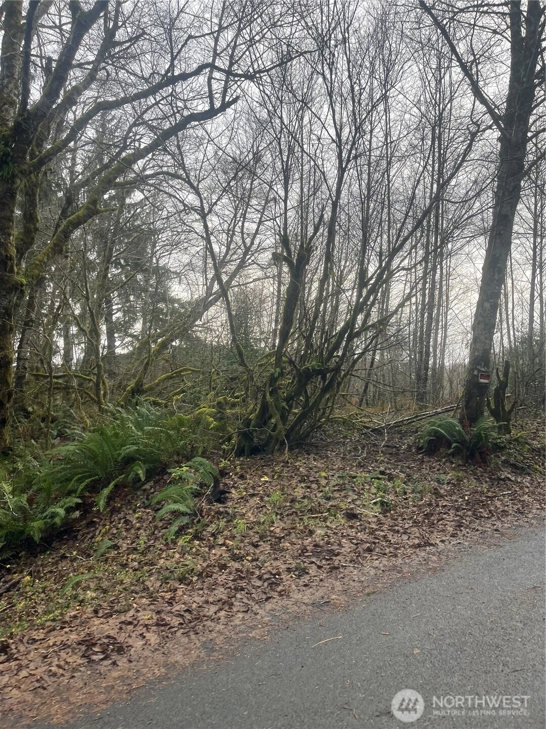 0 X Ward Creek Rd Unit  Raymond WA 98577