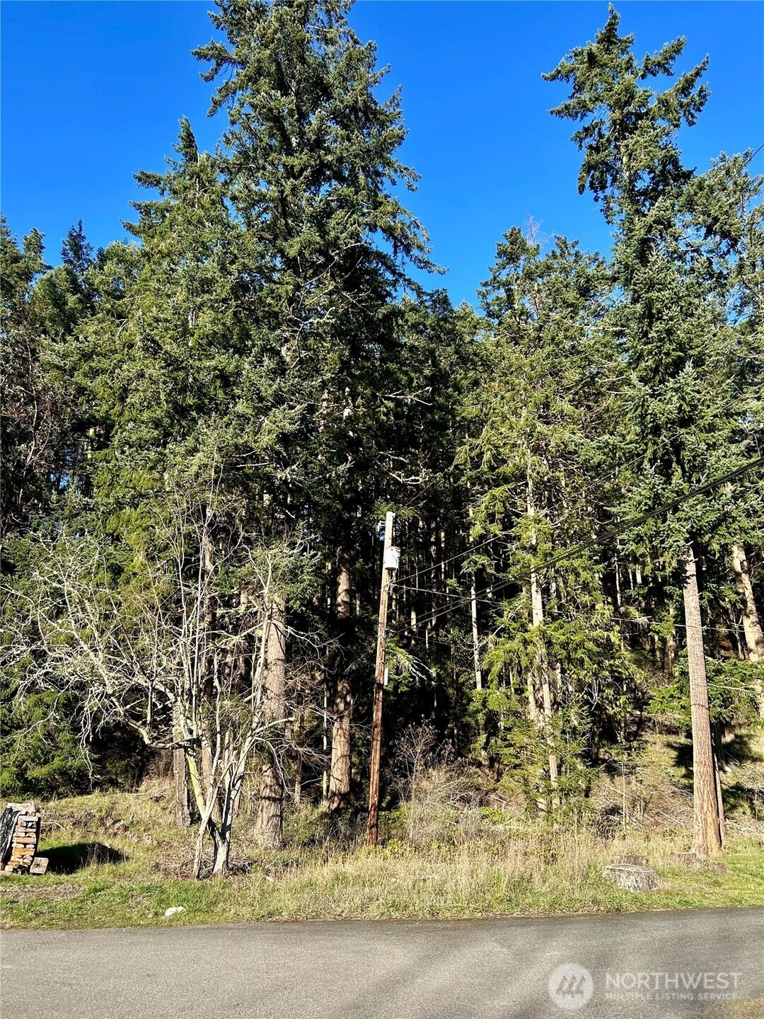 55 Vancouver Pl Unit  Port Townsend WA 98368