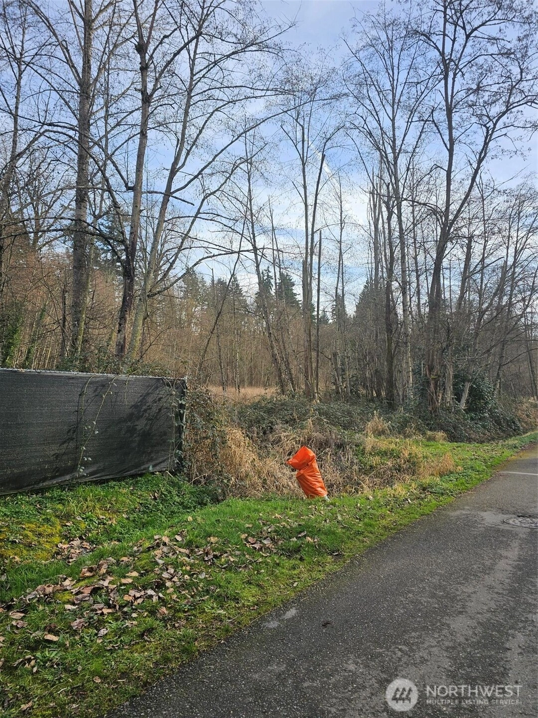 40 XX Jones Ave NE Renton WA 98056