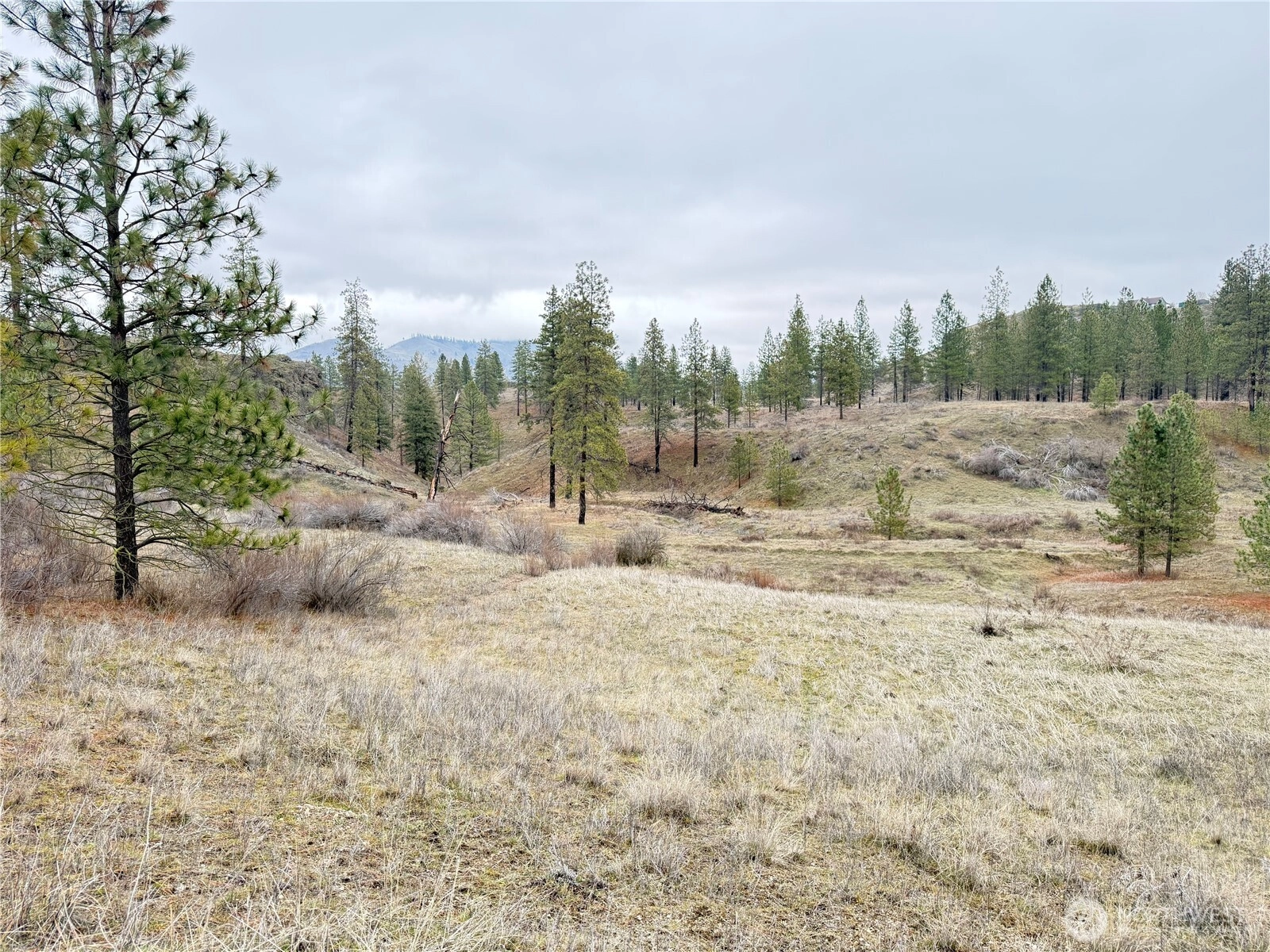 Cayuse Cove Rd N Davenport WA 99122