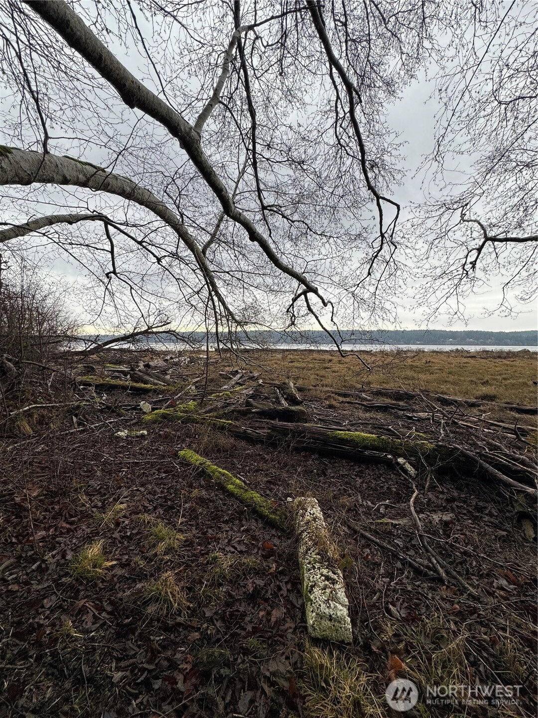 Hazel Point Quilcene WA 98376