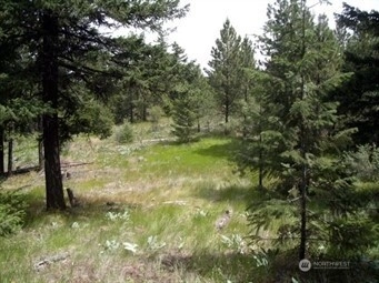 Mule Deer Road Waterville WA 98858