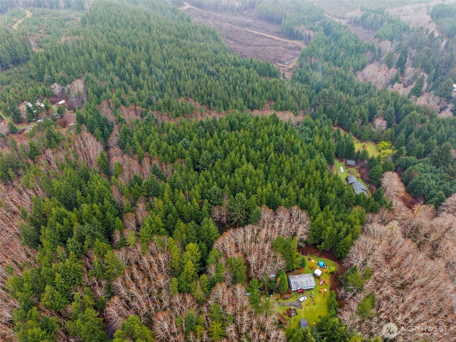 233 Smith Creek Raymond WA 98577