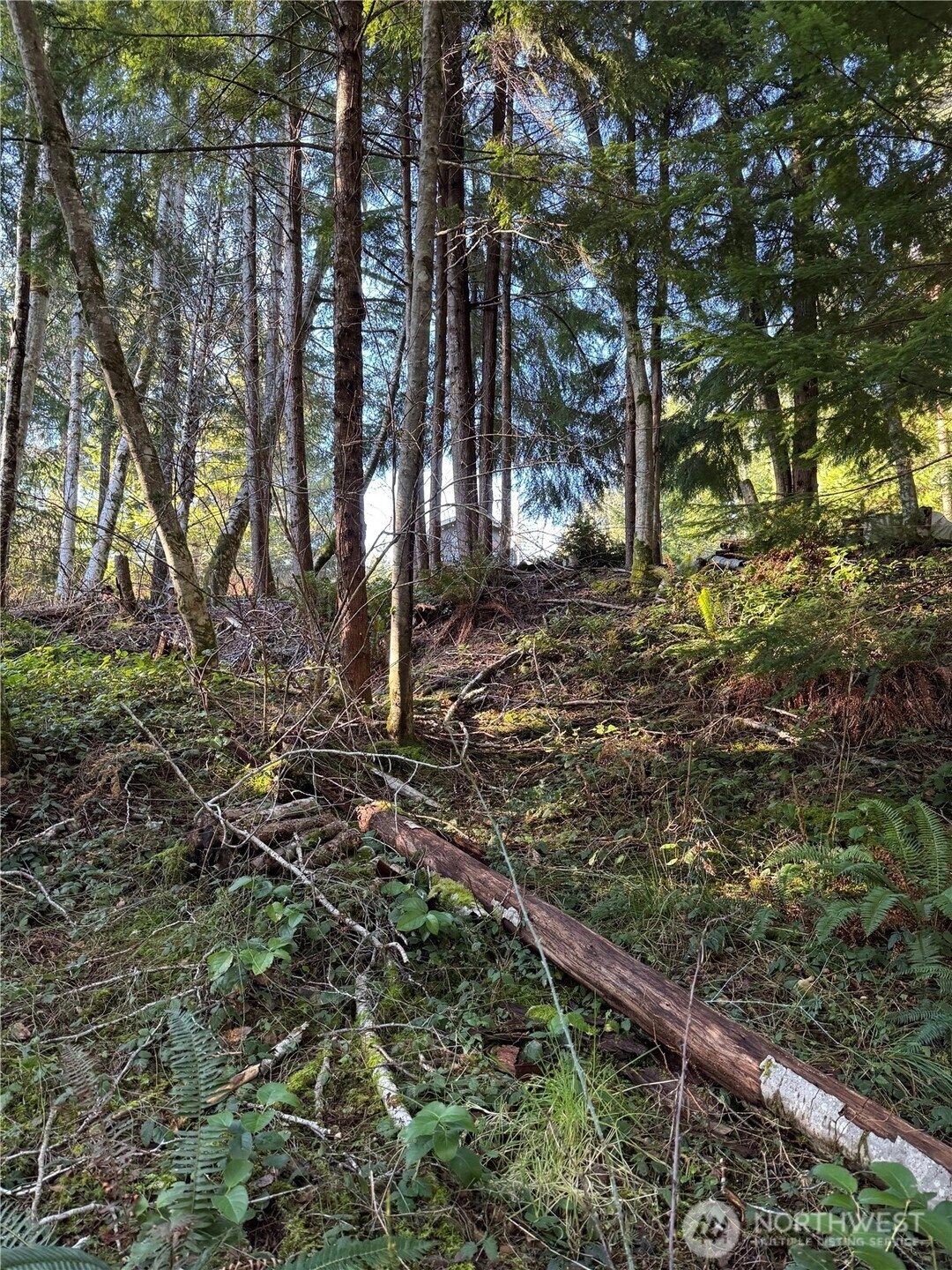 NE Lake Christine Rd Unit  Tahuya WA 98588