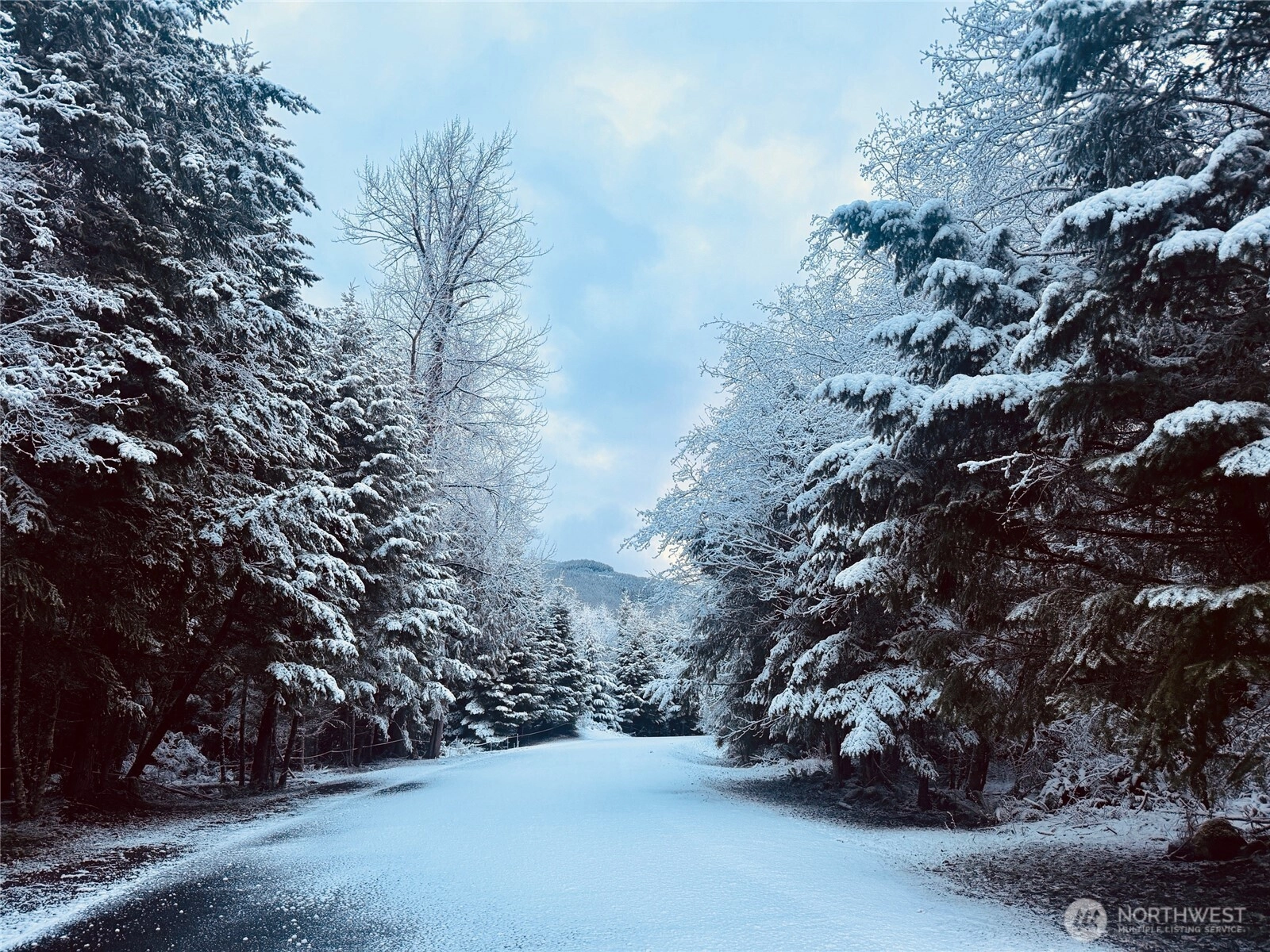 11857 Elk Trails Dr E Unit  Greenwater WA 98022