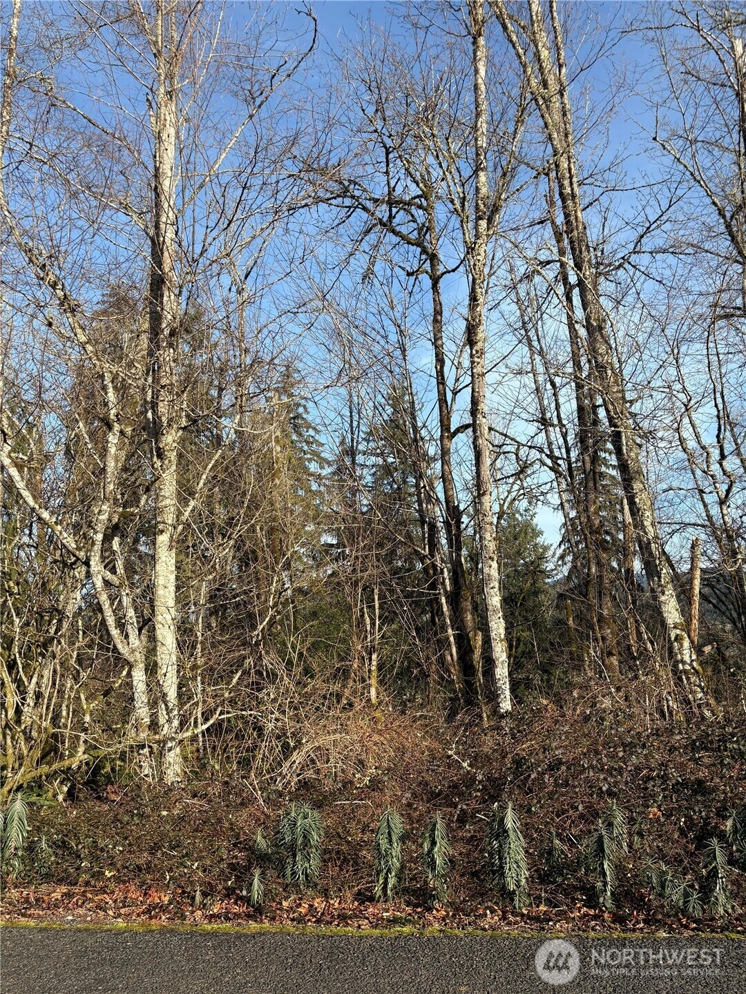 128 Valley View Dr Mossyrock WA 98564