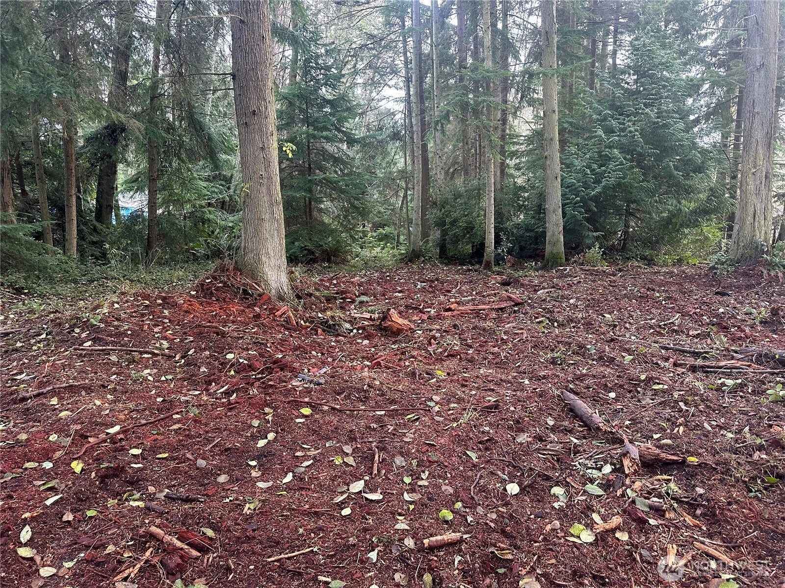 0 Lot 60 Worthy Pl Unit  Greenbank WA 98253