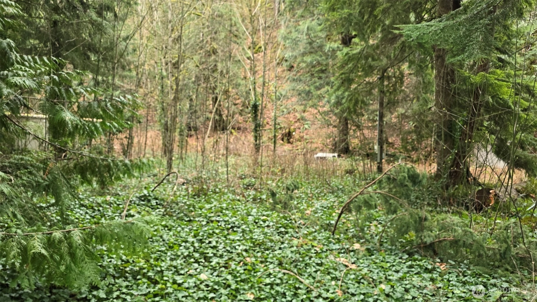 7884 Santa Fe Trl Maple Falls WA 98266