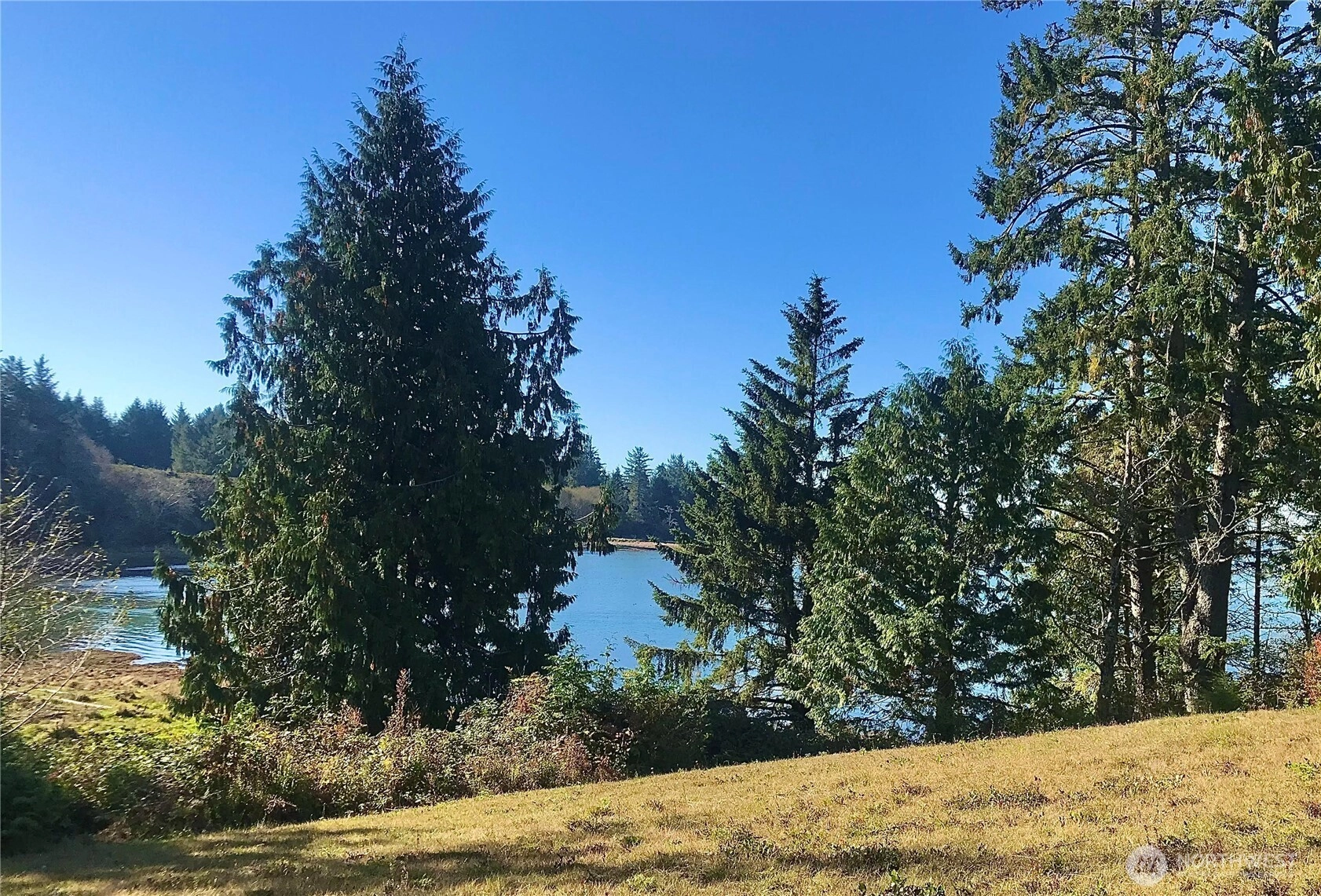 1 Lot Wilson Point South Bend WA 98586