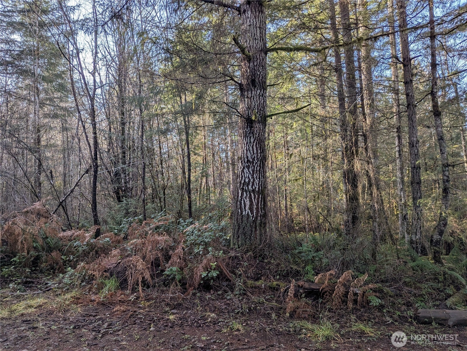 E Savage Grapeview WA 98546