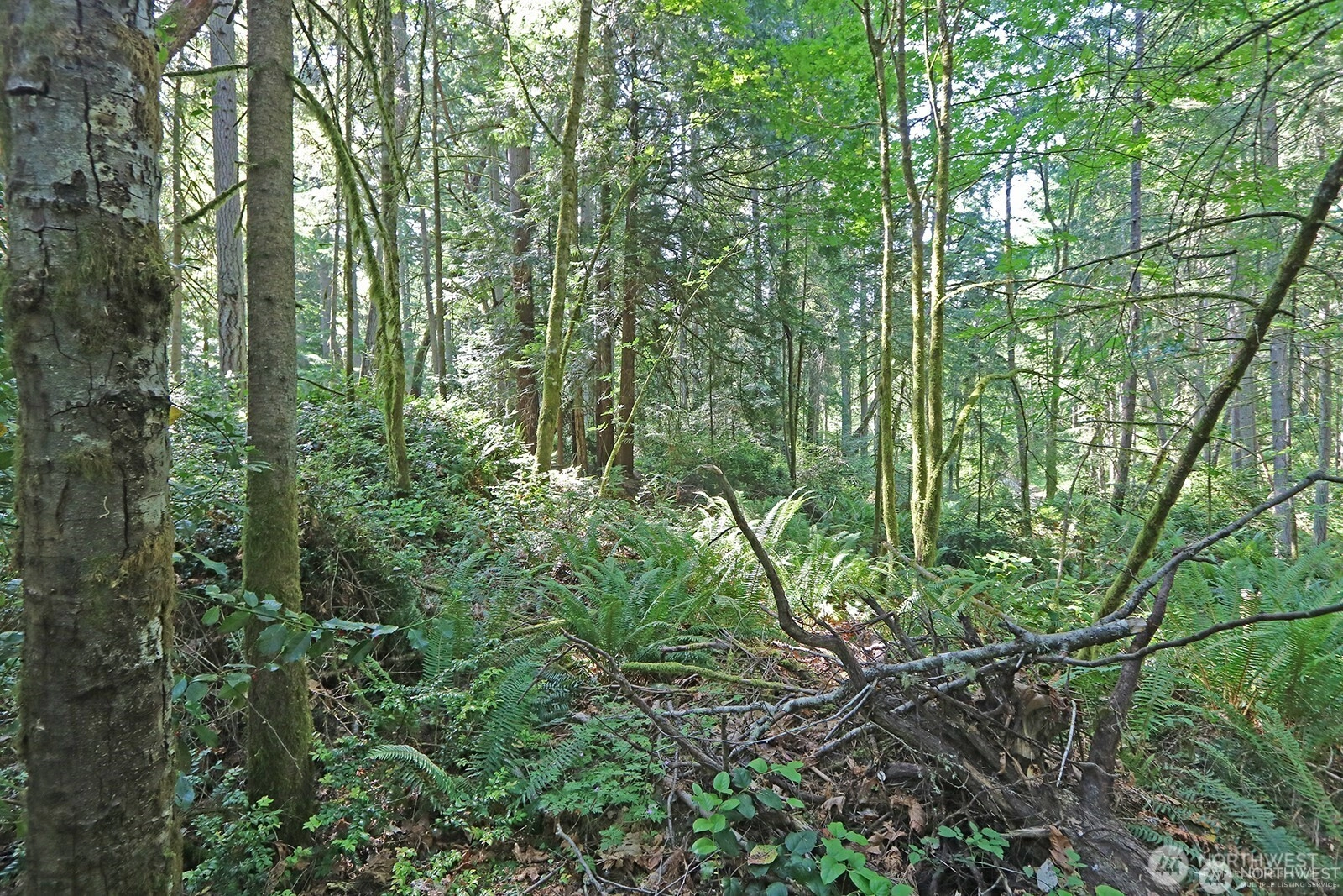20825 Old Mill Rd SW Vashon WA 98070