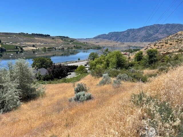 31 Osprey Nest Rd Unit  Pateros WA 98846