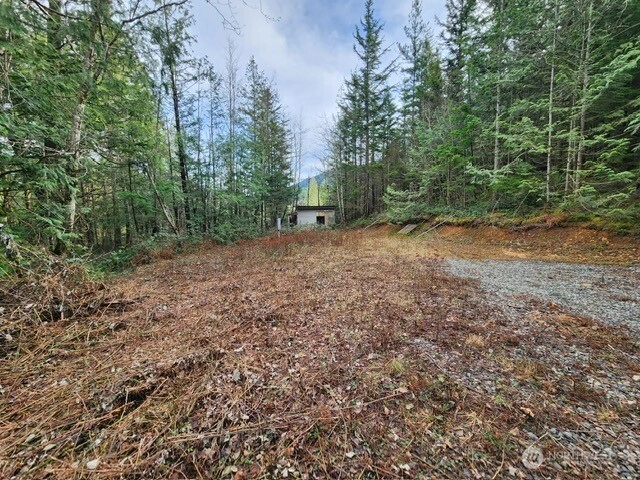 Vacant Land 343rd Ave SE Ravensdale WA 98051