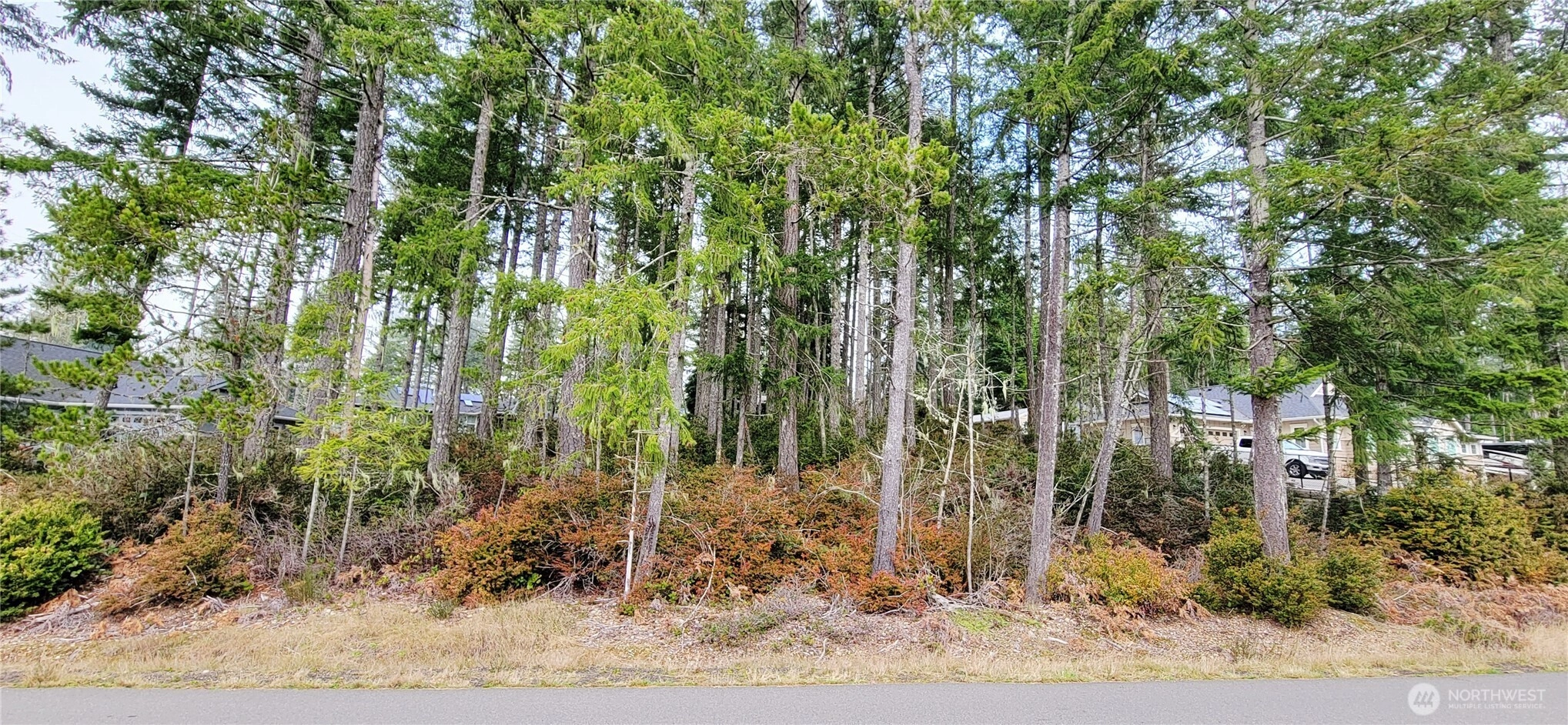 350 E Vine Maple Ln Union WA 98592