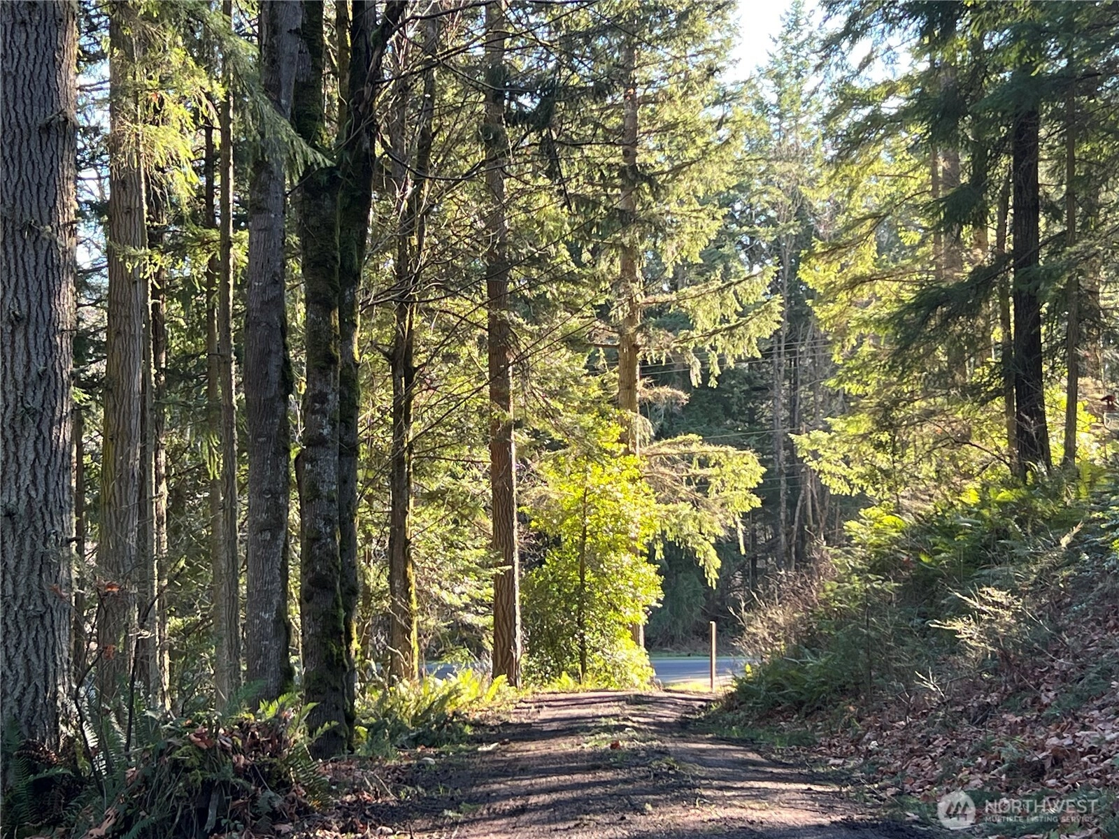 5662 Center Rd Chimacum WA 98325