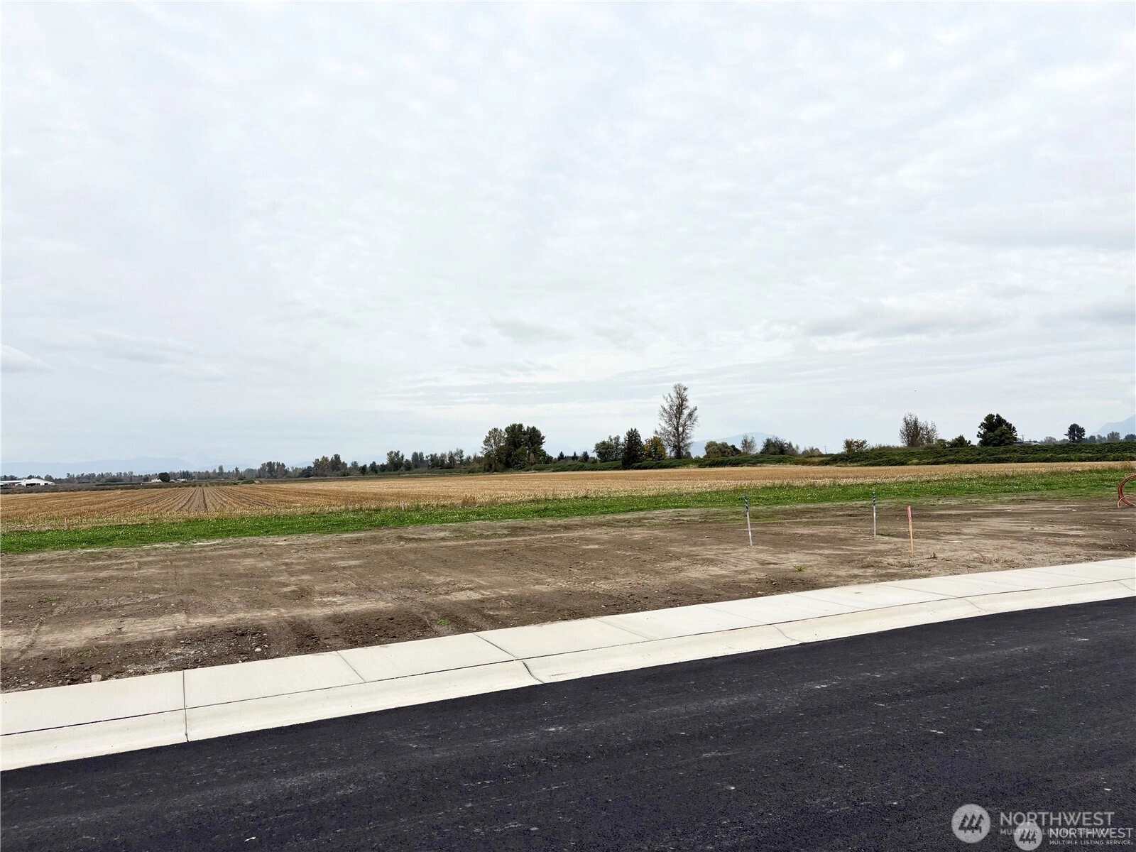 328 W 4th St Unit  Everson WA 98247