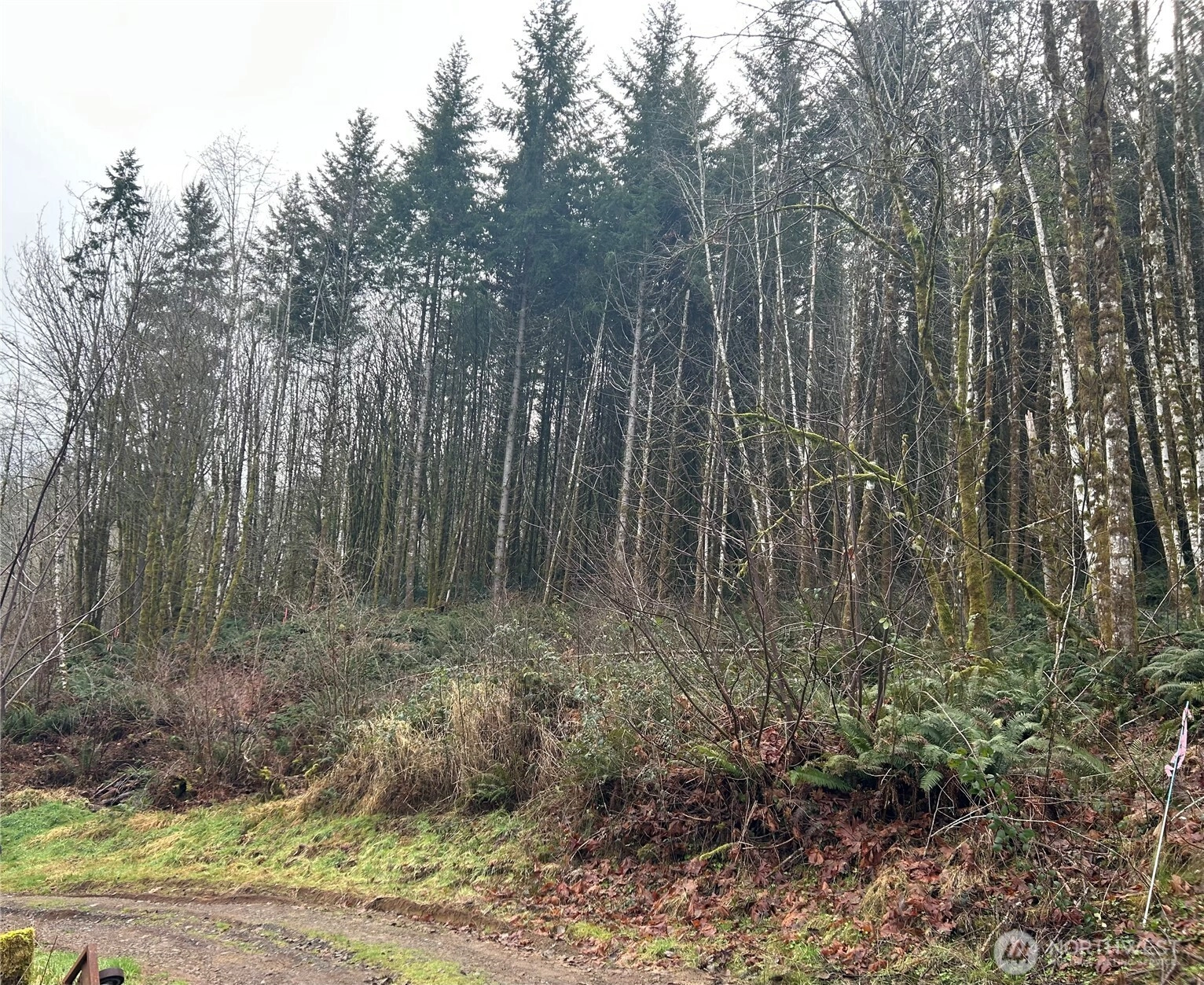 514 Berry Rd Adna WA 98532