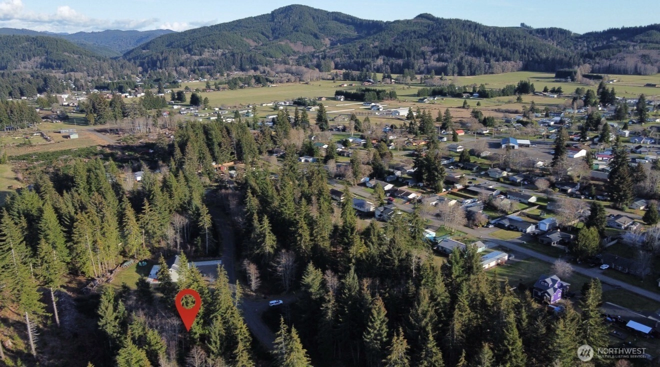 579 Thomas St Forks WA 98331