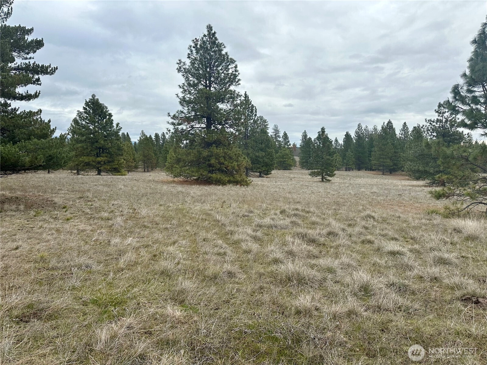 72 Winlock Rd Goldendale WA 98620