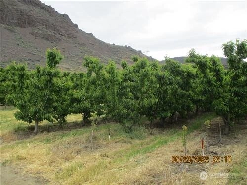 963 Sr 28 Rock Island WA 98850