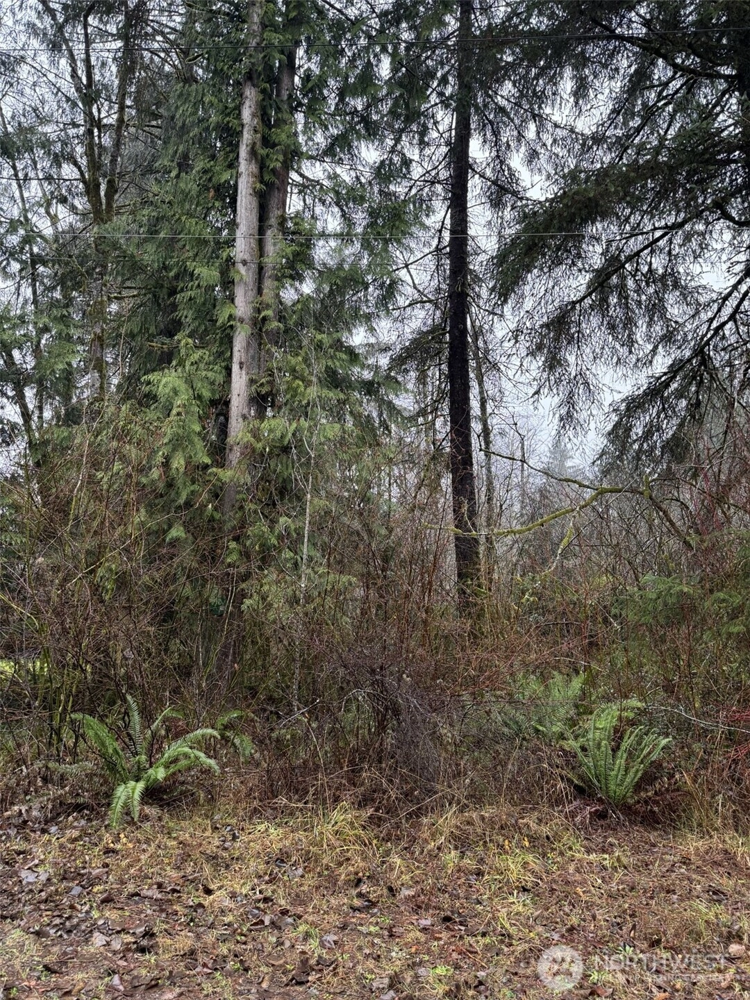 No Address Elma WA 98541