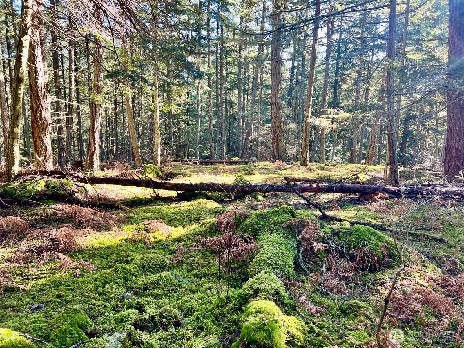 Highland Dr Unit  Decatur Island WA 98221