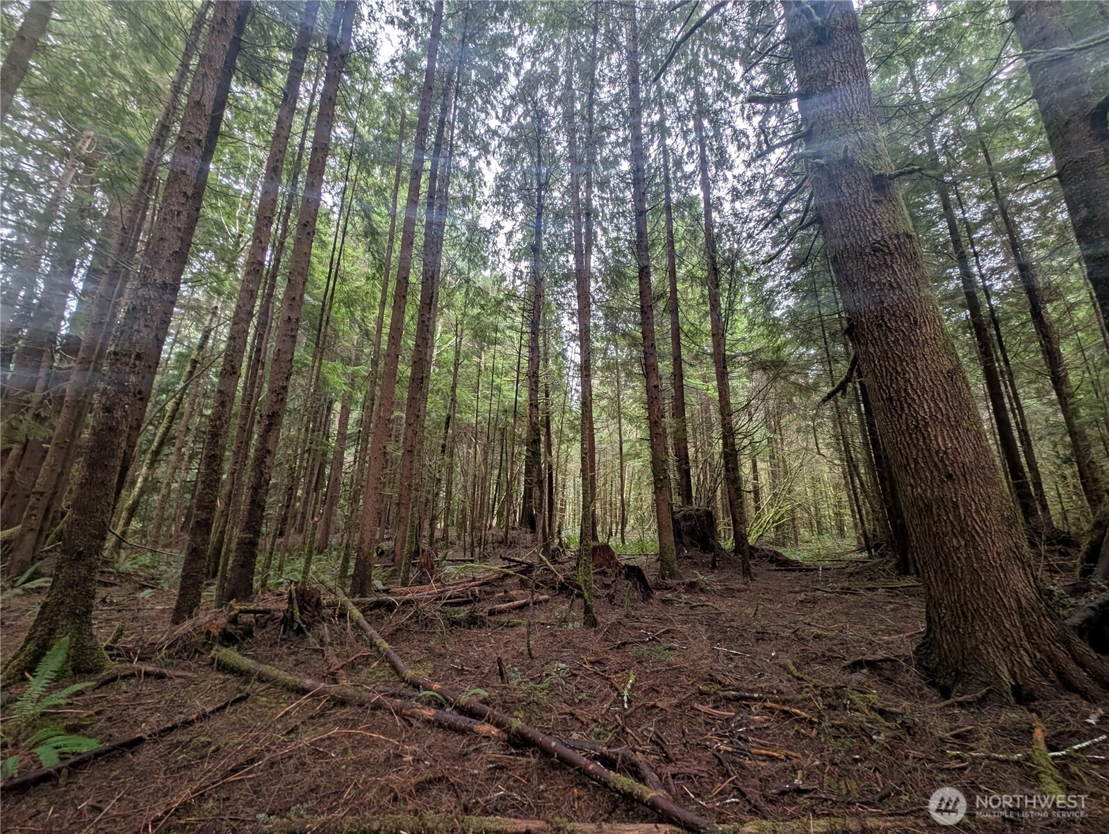 9991 Quillayute Rd Forks WA 98331