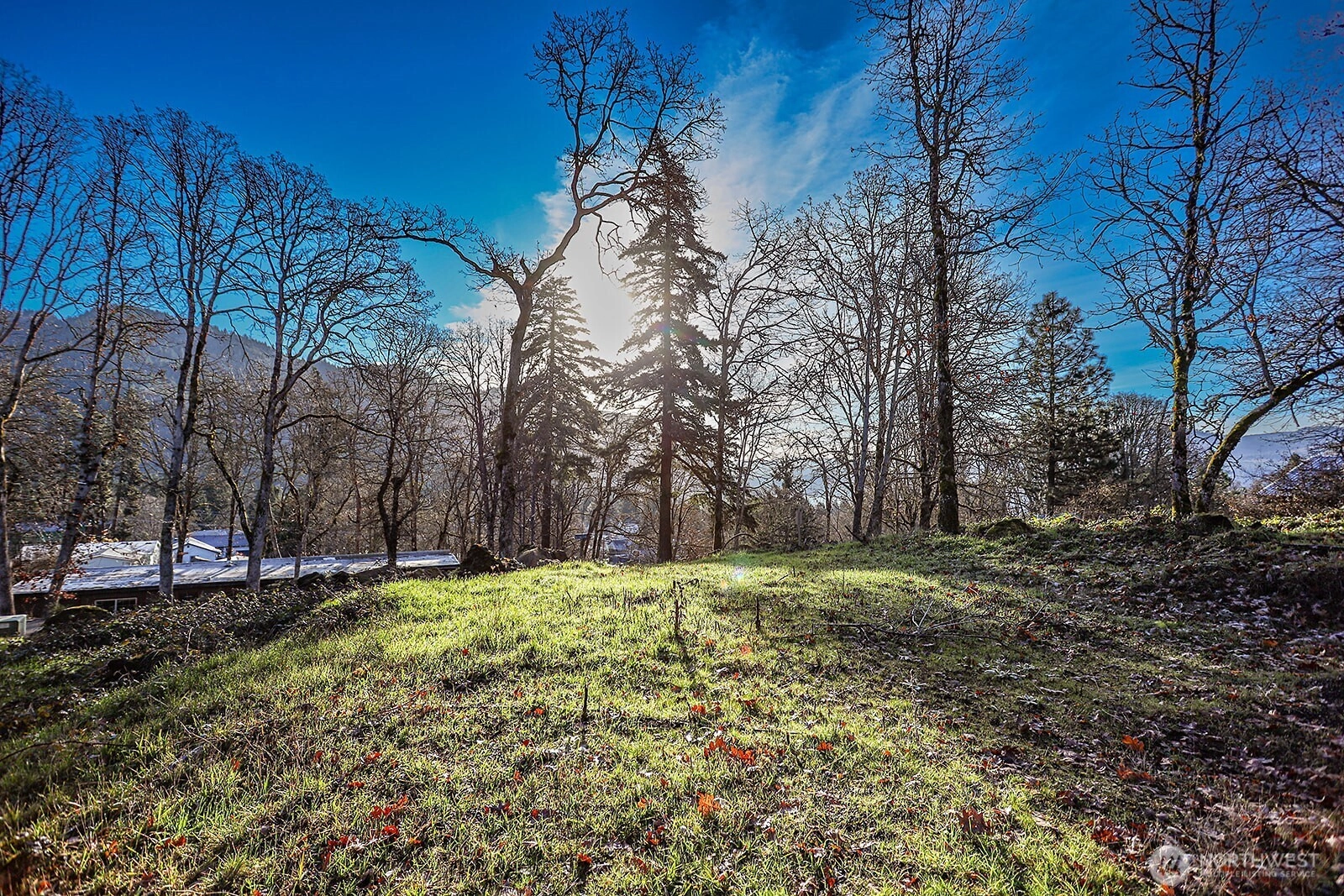 912 Hillside Ln White Salmon WA 98672