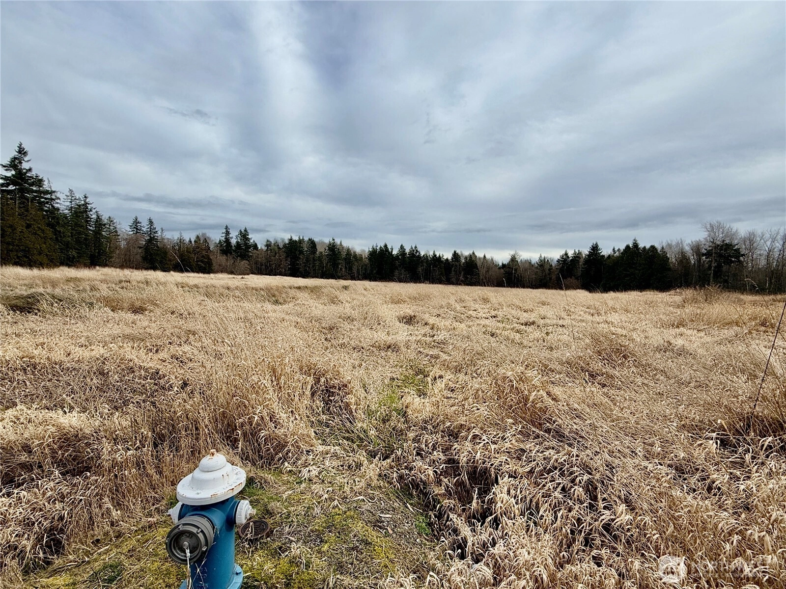 Blaine Rd Blaine WA 98230