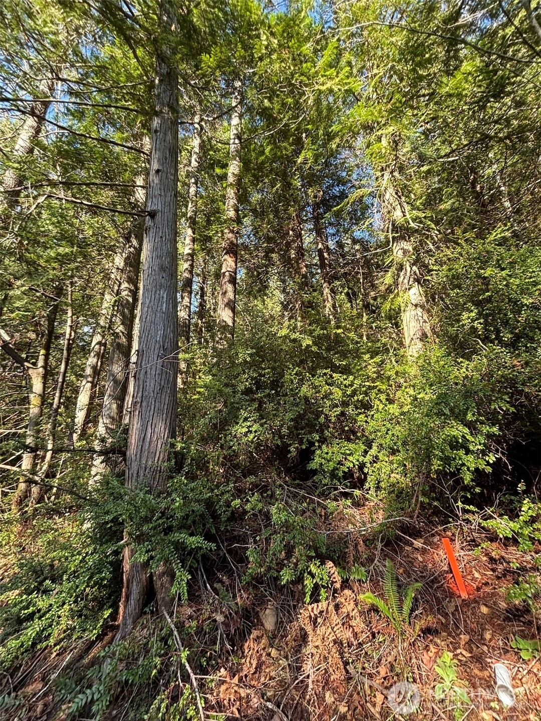 Nka Yashi Rd Unit  Brinnon WA 98320