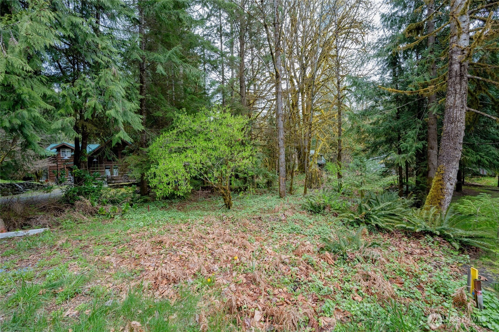 14039 Chimney Ln Unit  Deming WA 98244