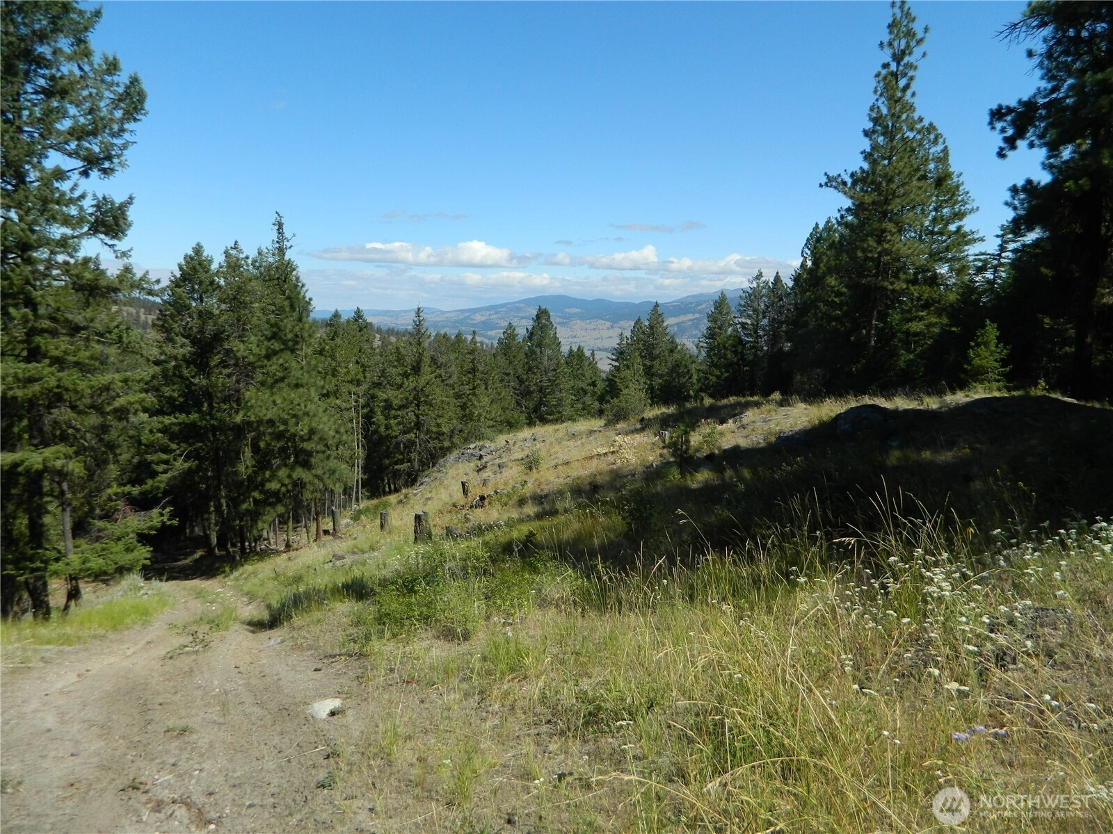 Tbd Snowbunny Ridge Dr Tonasket WA 98855