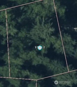 31512 Mt Tahoma Canyon Rd E Ashford WA 98304