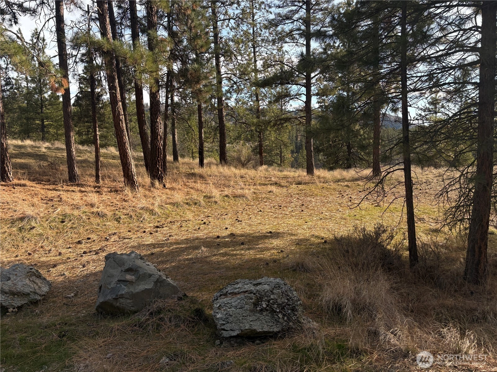 2 Mist Lake Rd Unit  Tonasket WA 98855