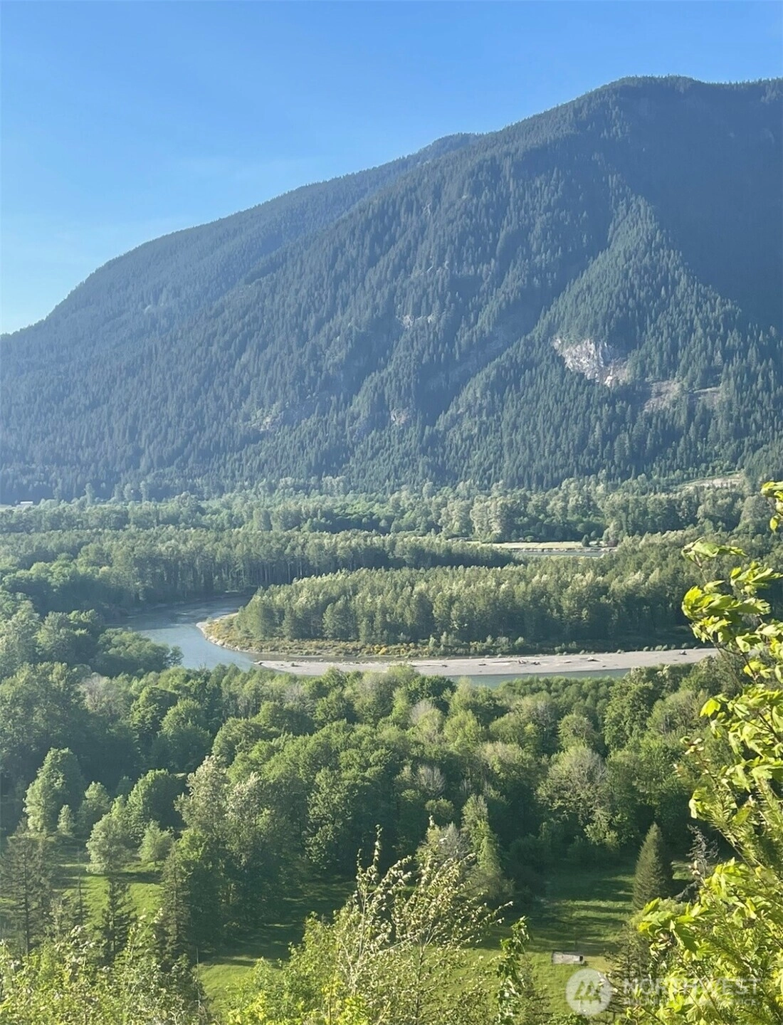 1102 Cline Rd Randle WA 98937