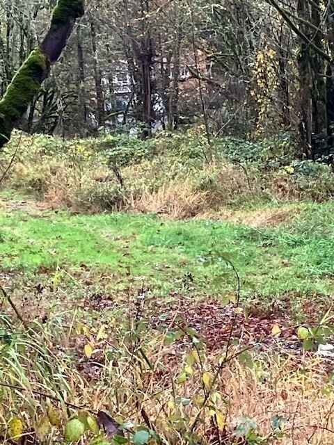 29280 NE 189th St Unit  Duvall WA 98019