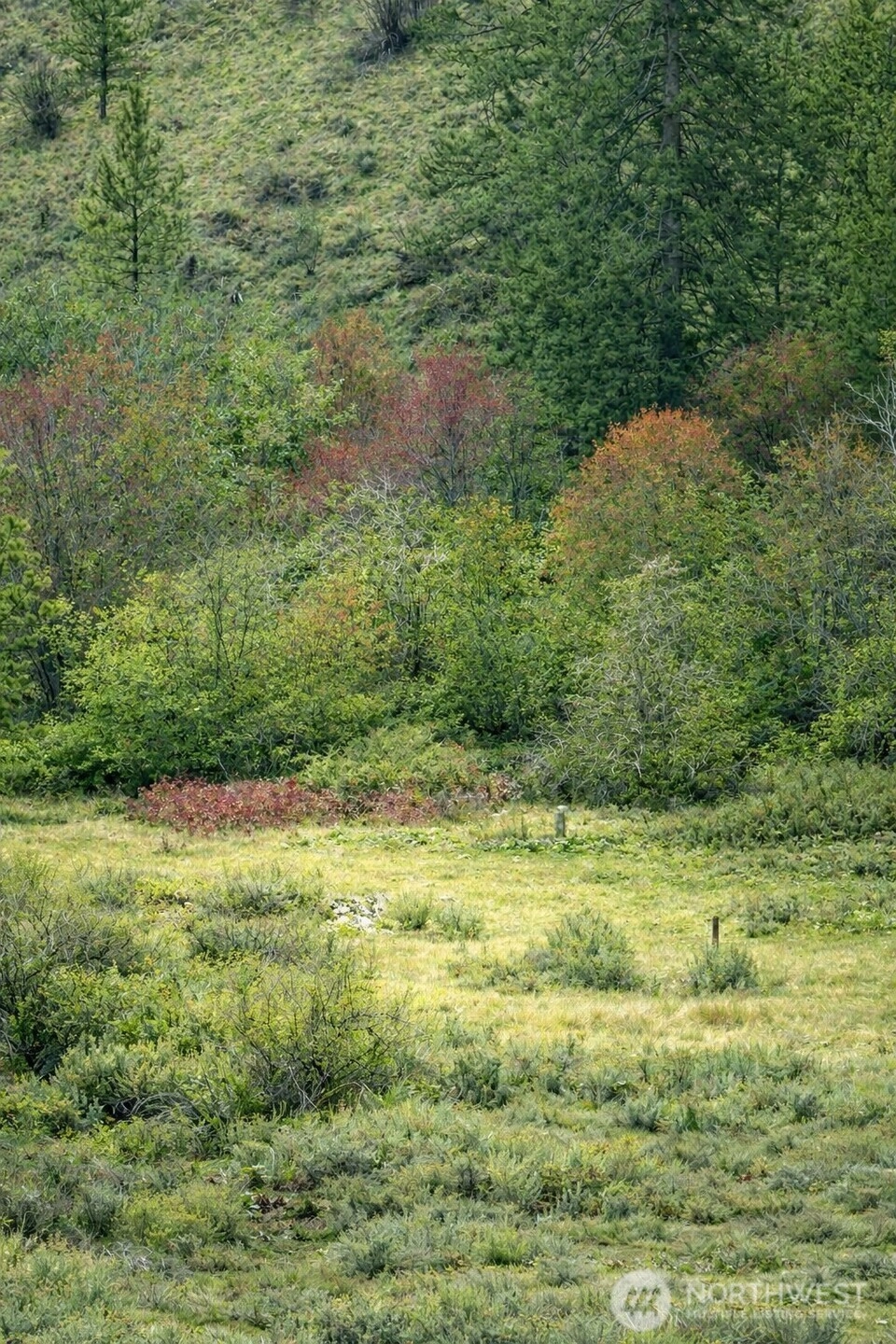 42 Beeman Rd Tonasket WA 98855