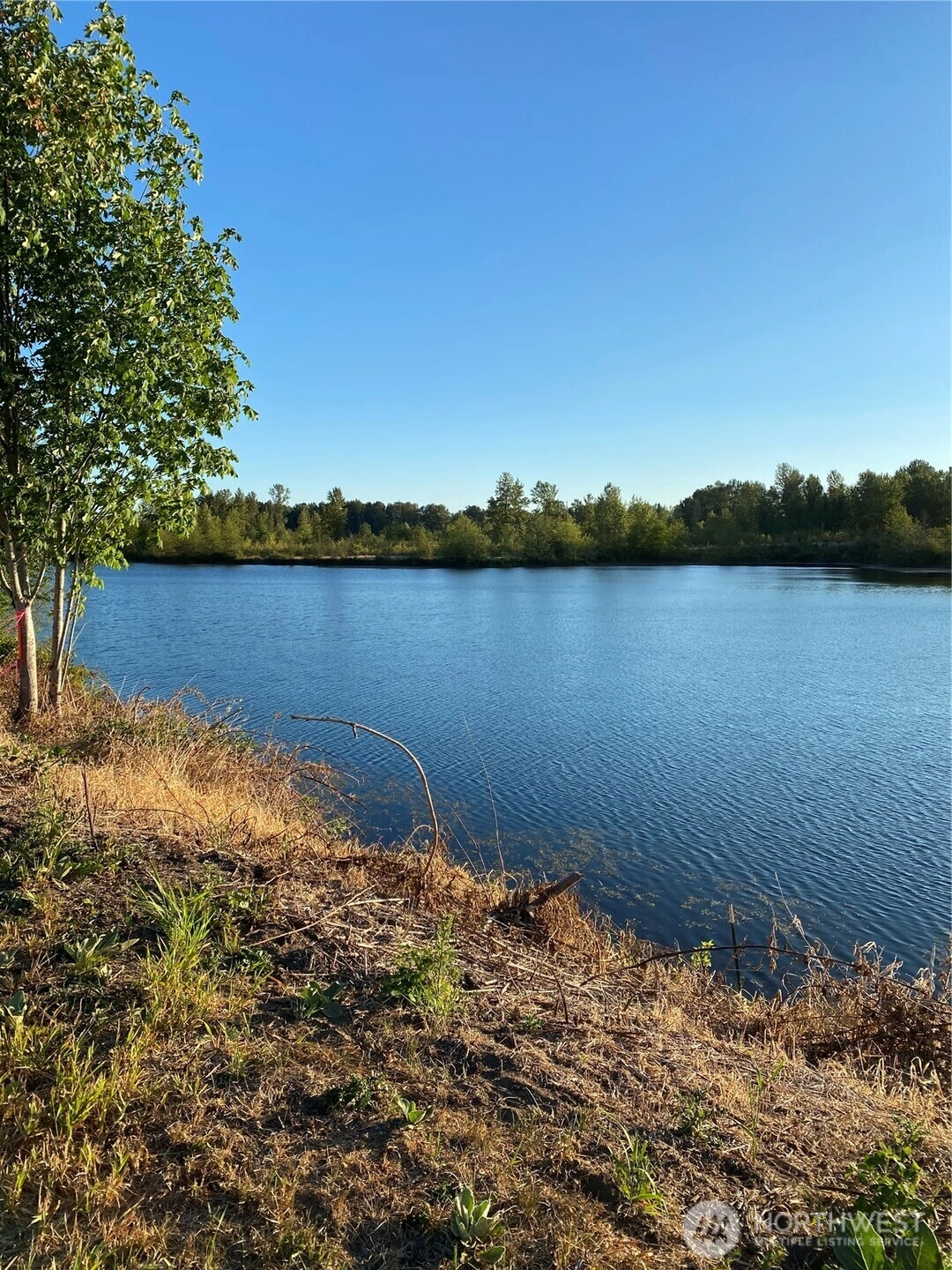 243 12 Collins Rd Unit  Toledo WA 98591