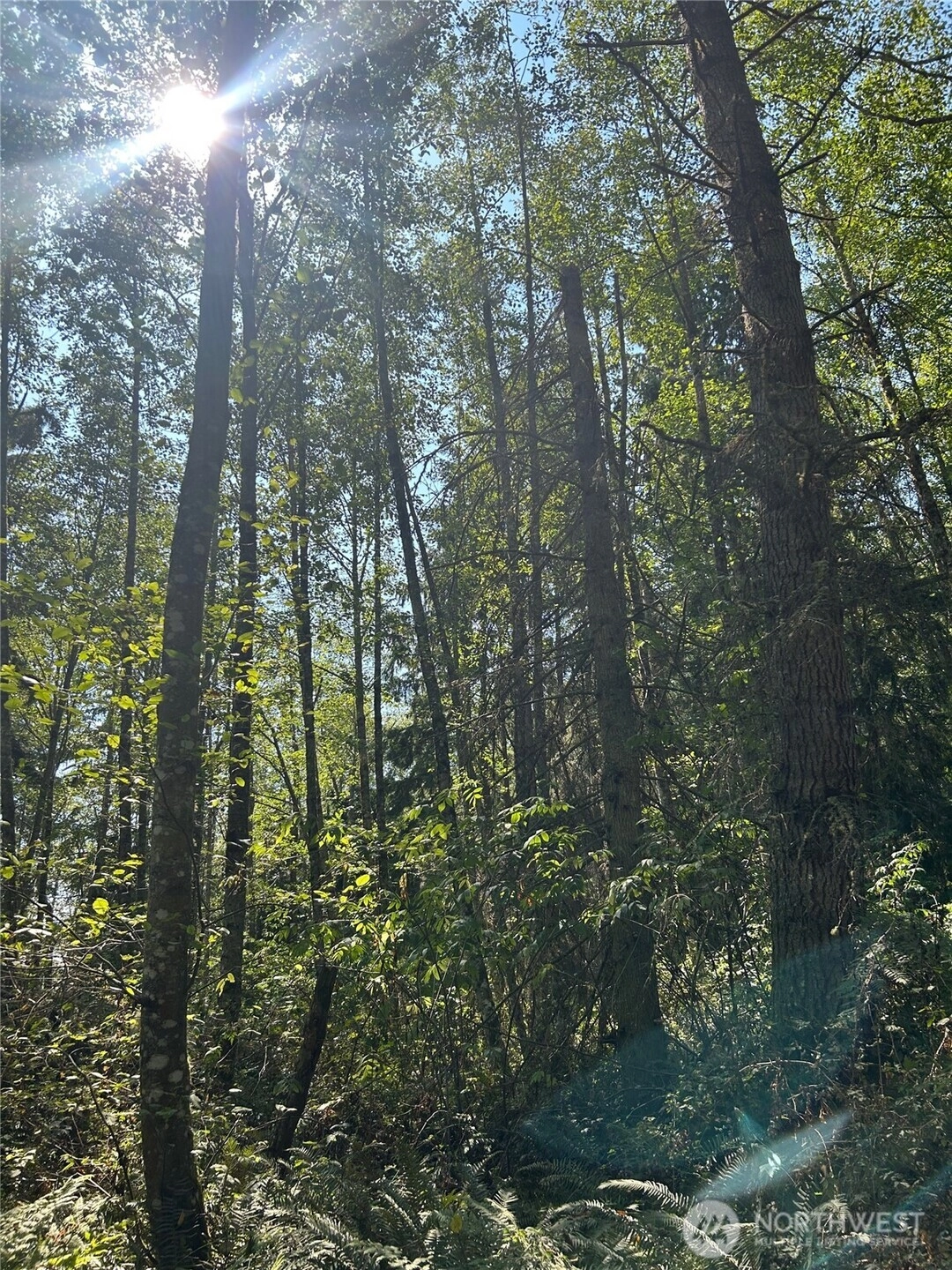 0 xxx Forest View Ln Greenbank WA 98253