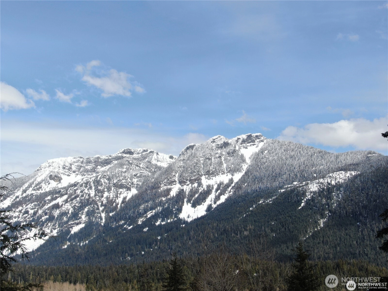 91 Arlberg Pl Snoqualmie Pass WA 98068