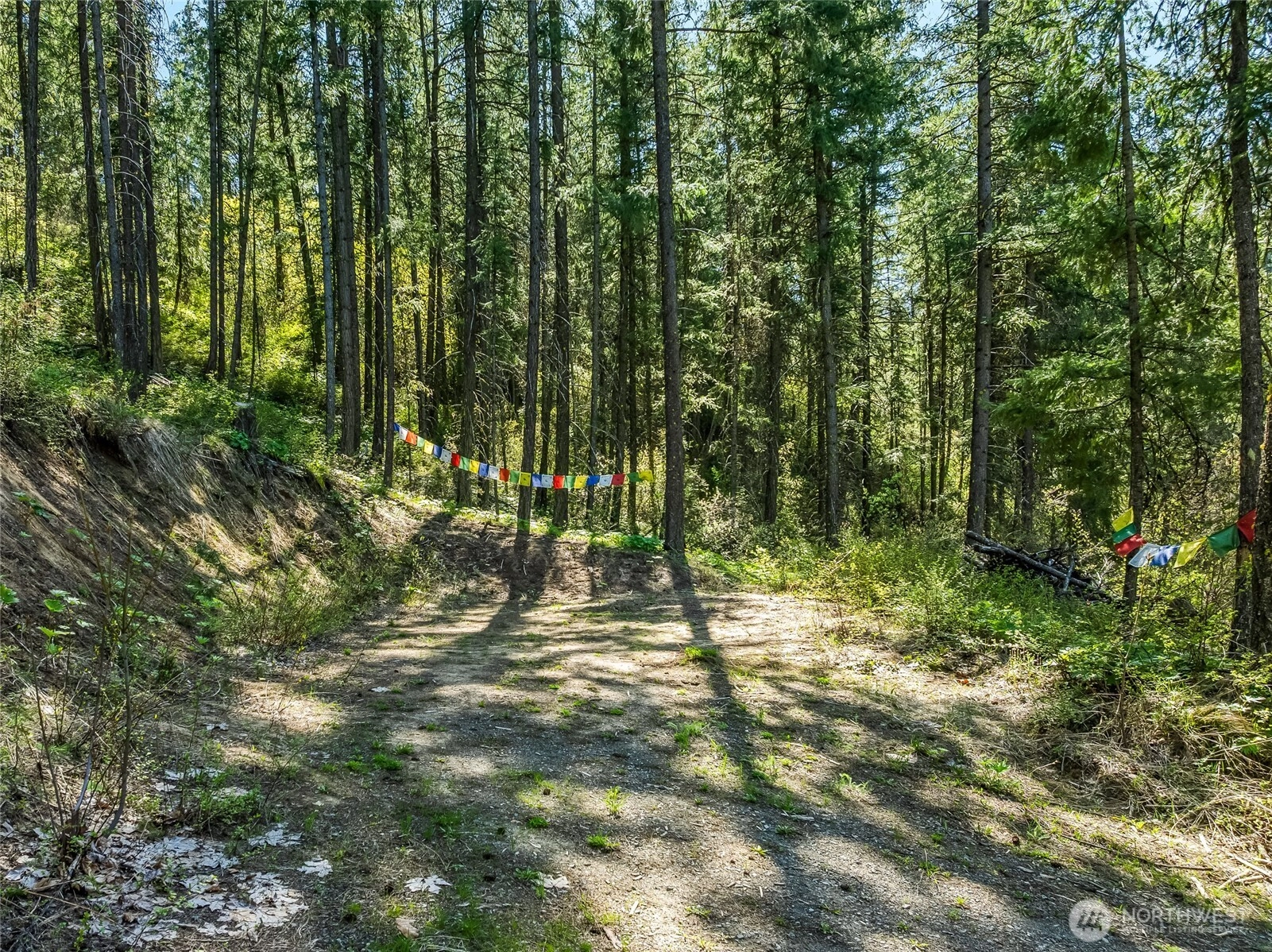 8325 Taber Rd Cashmere WA 98815