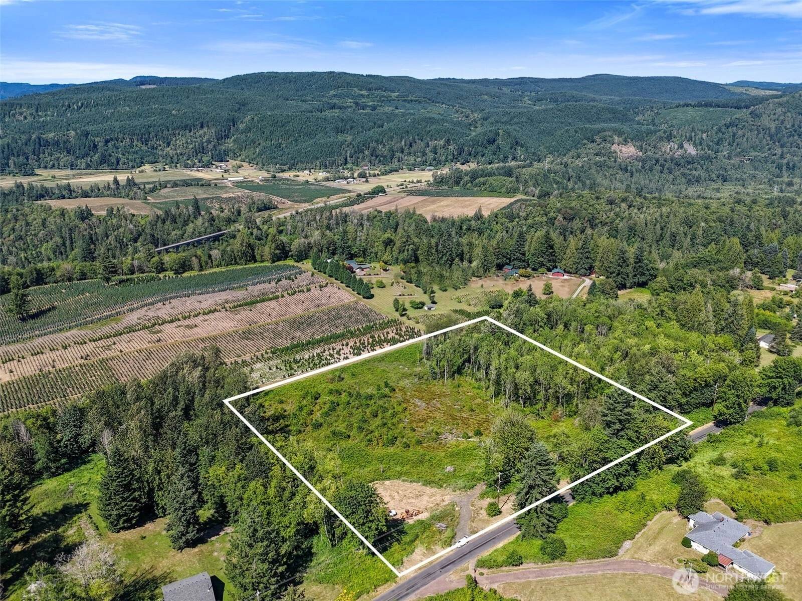 233 Young Rd Mossyrock WA 98564